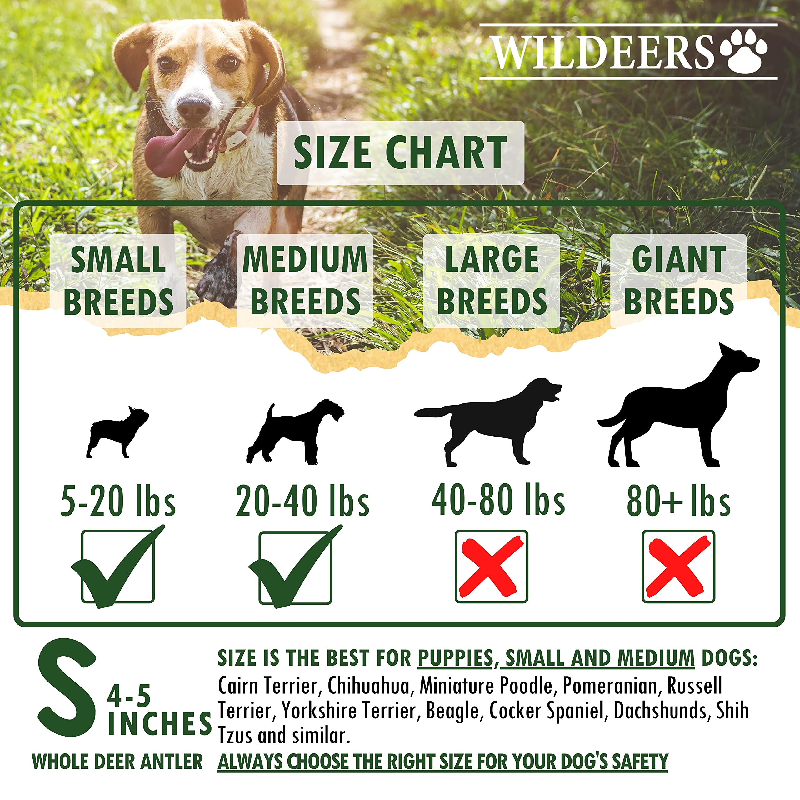 Wildeers Premium Deer Antlers for Dogs - Dog Antler Chews - Made in USA, Naturally Shed, Healthy Treat - Grade A, 4-5 in, 3 Piec